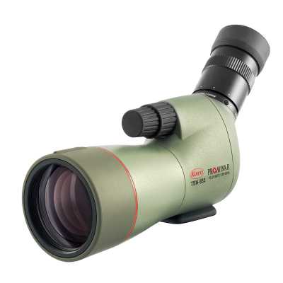 TSN
                553