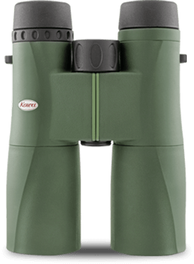 SV42